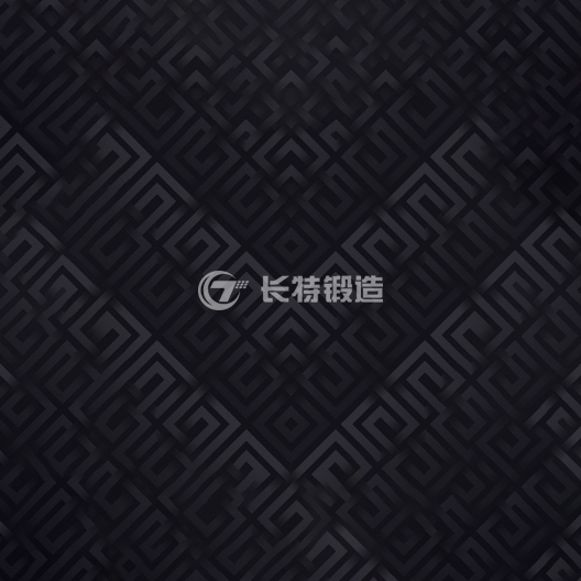 逐鹿科技升级上海长特锻造有限公司互联网品牌形象