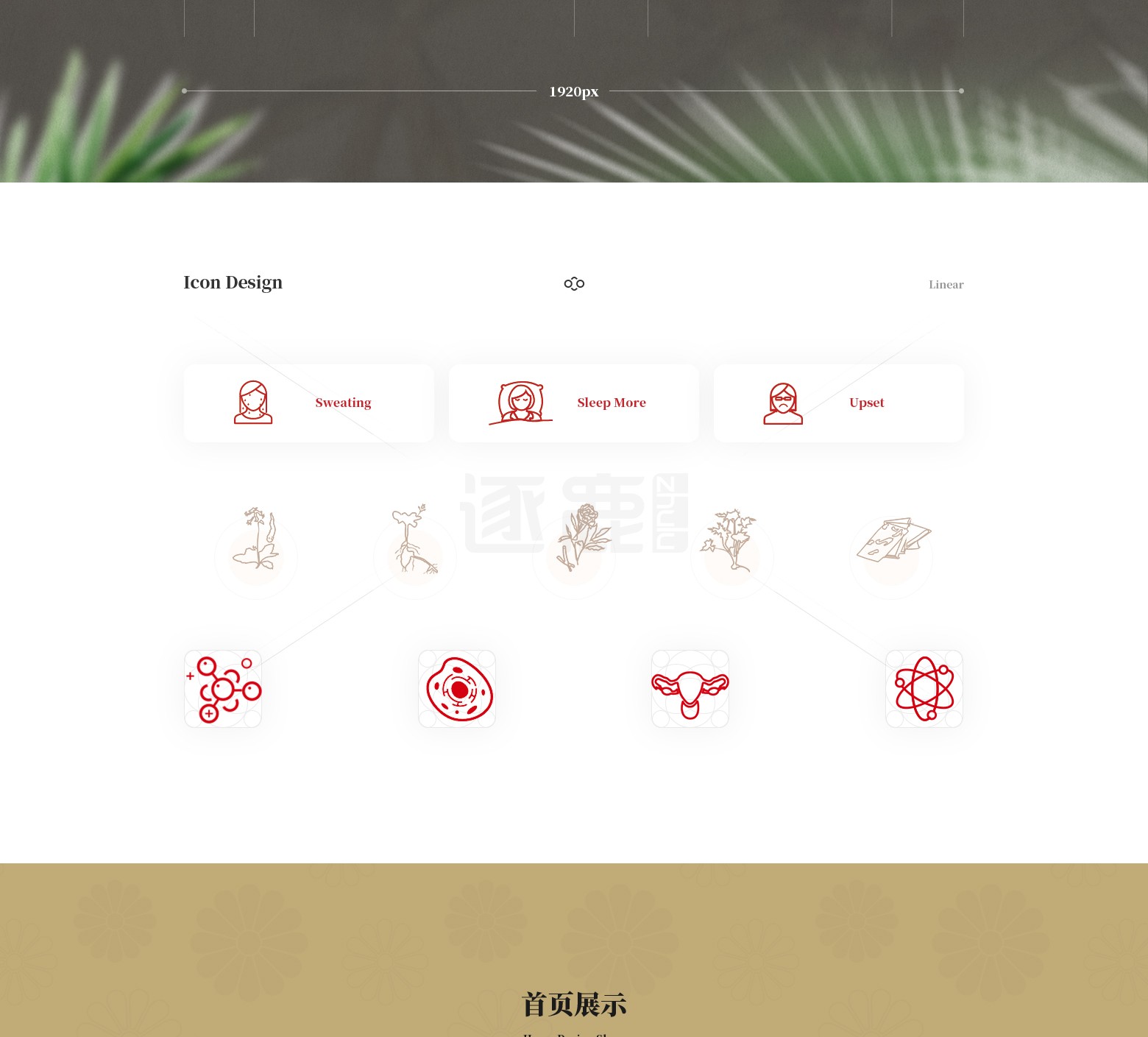 新天药业(图3)