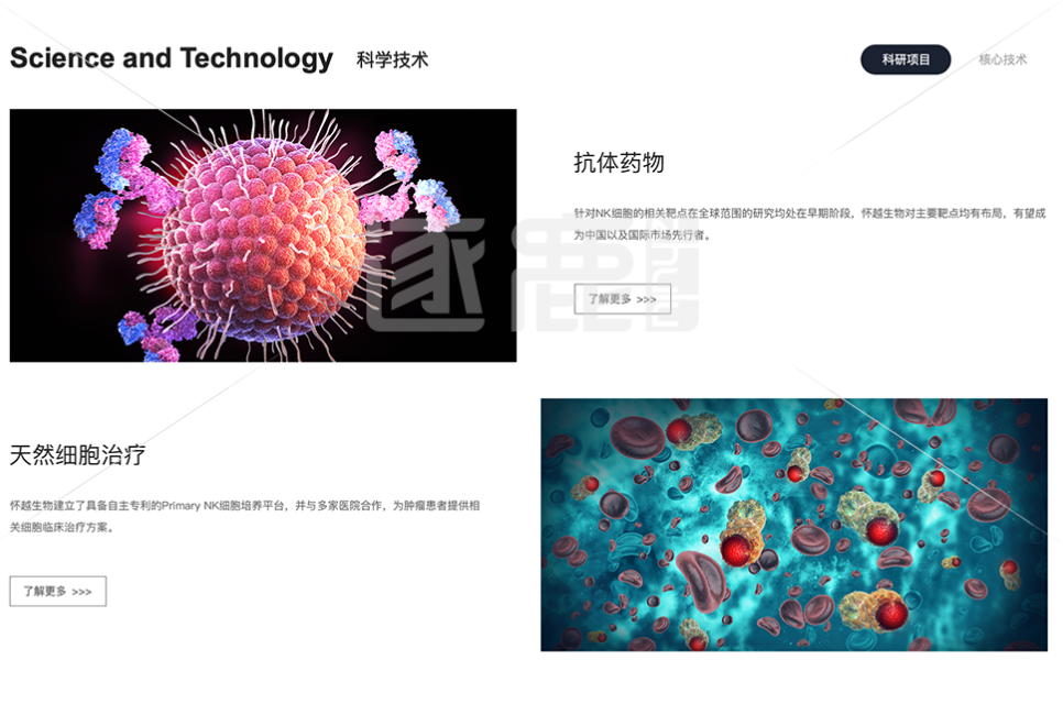 网站建设