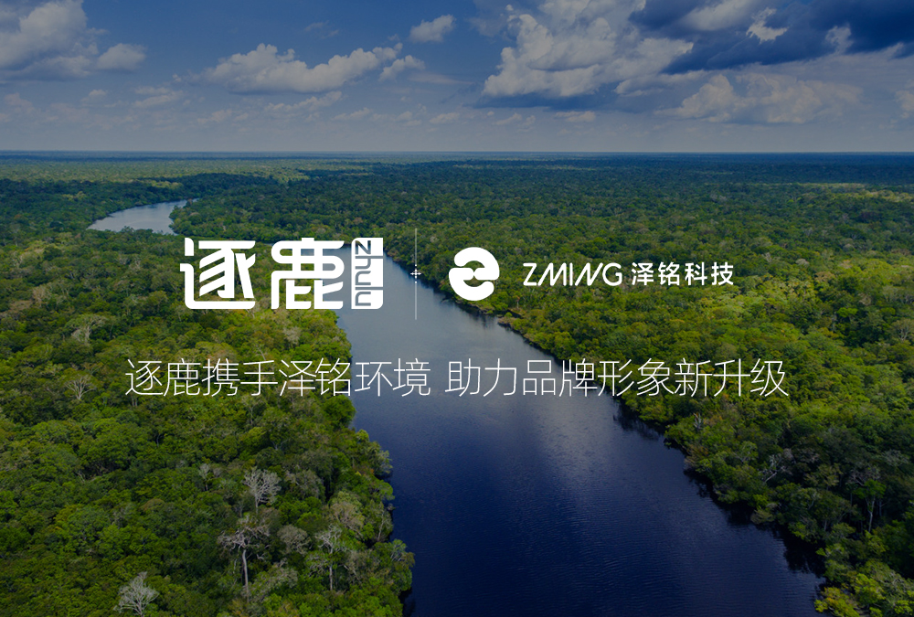 网站建设