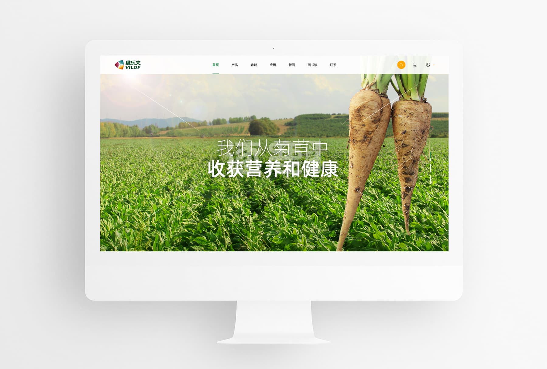网站建设