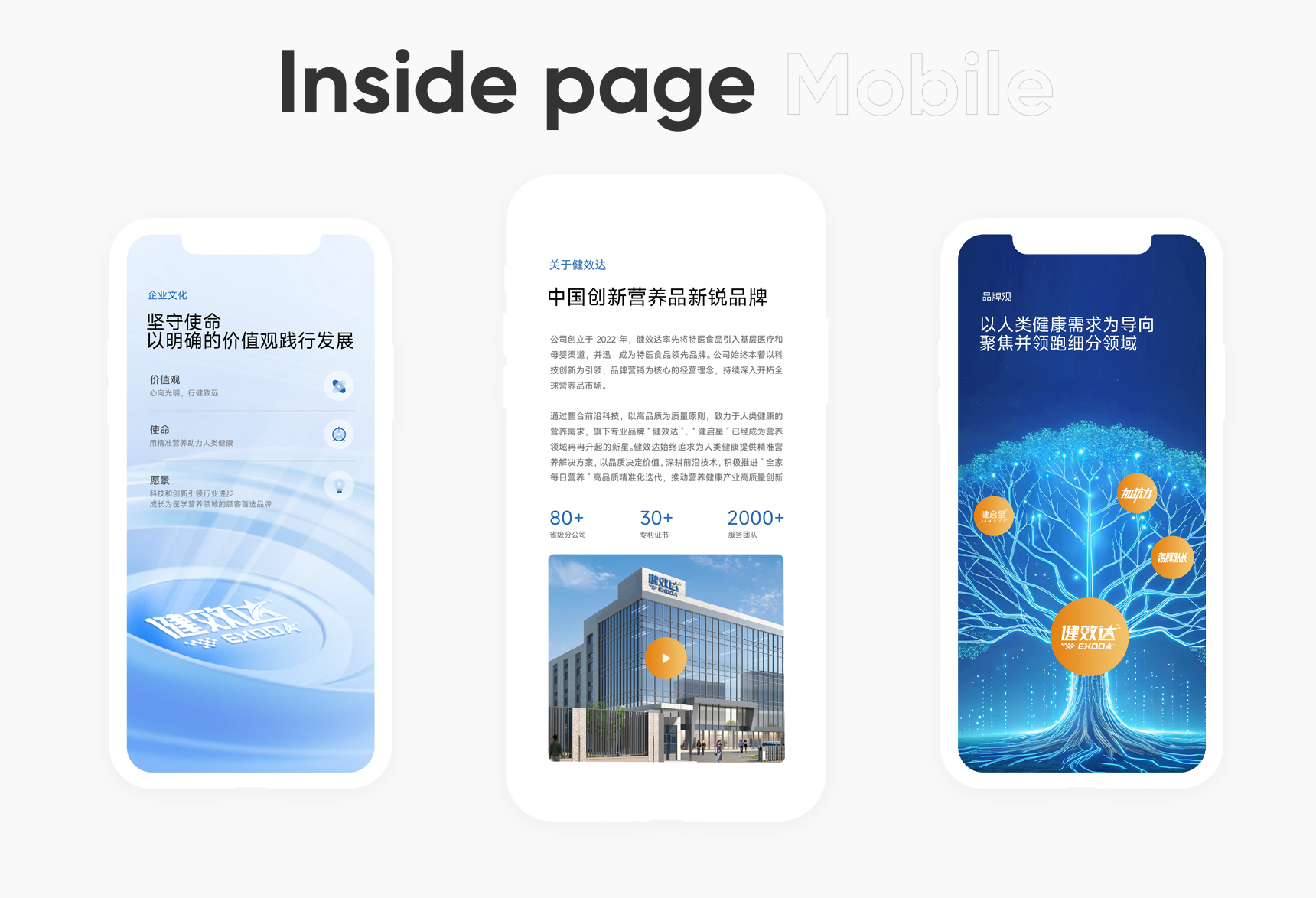 健效达(图10)