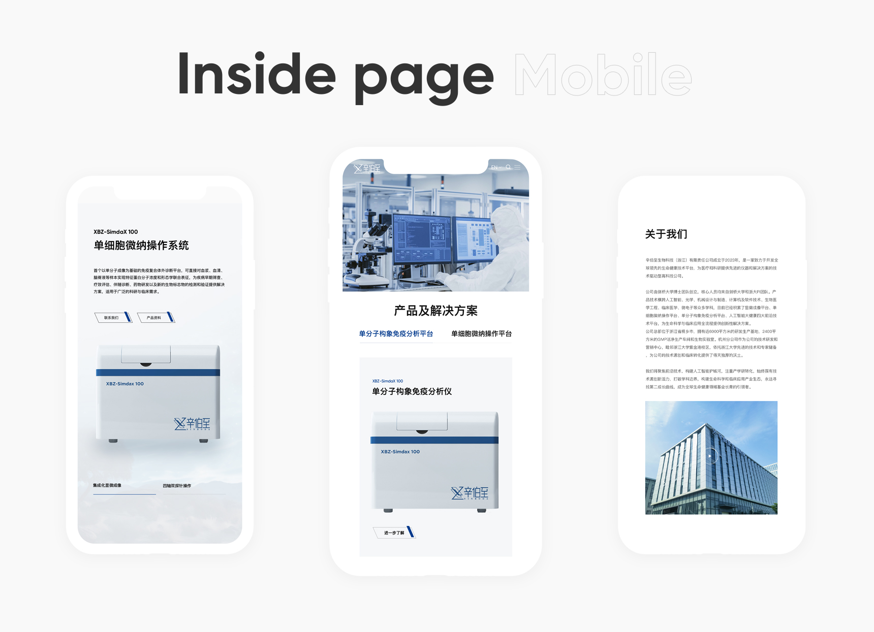 辛伯至(图11)